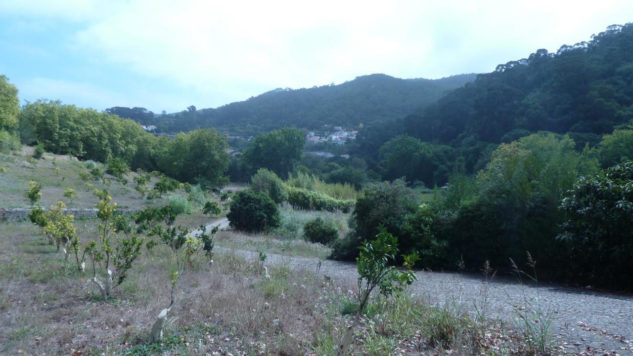 Ribeira Dos Marinheiros Azul Lägenhet Sintra Exteriör bild