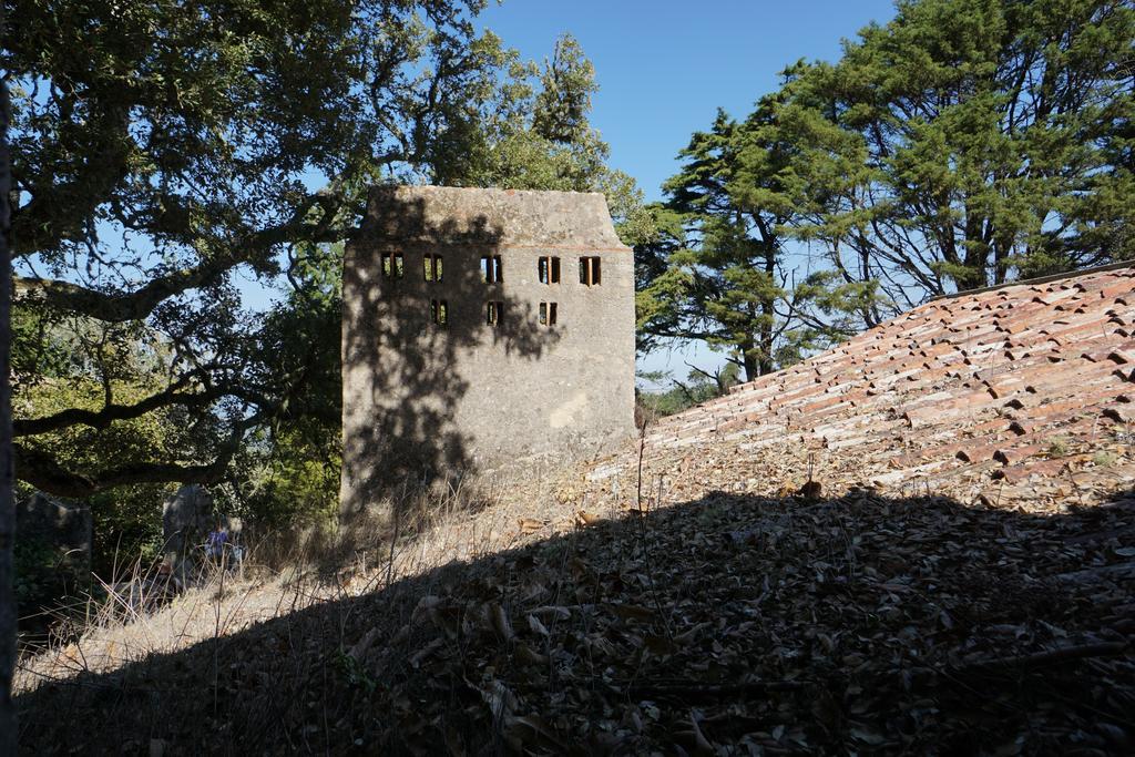 Ribeira Dos Marinheiros Azul Lägenhet Sintra Exteriör bild